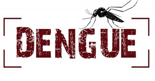 dengue